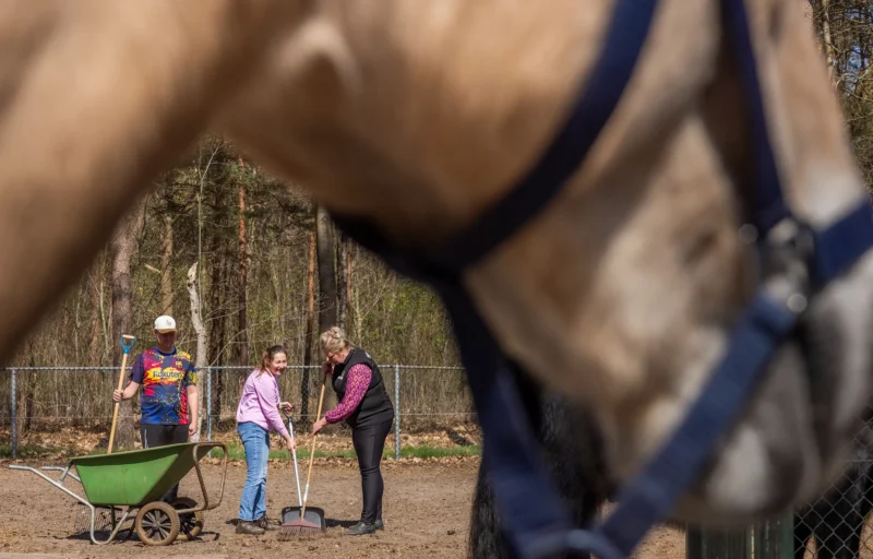 Oro-DePaardenstal-13