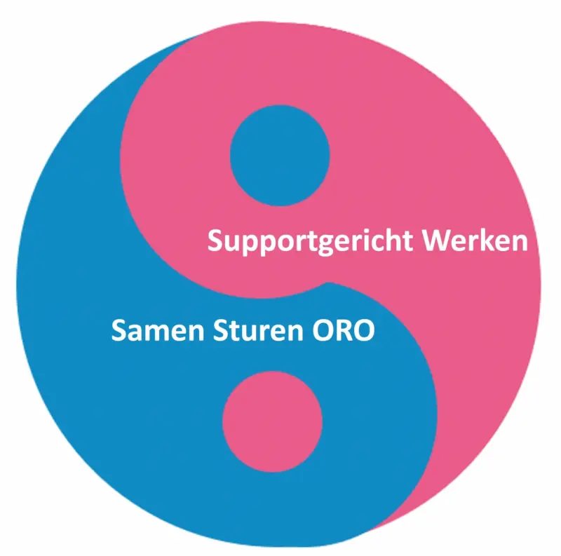 yingyang sgw sso